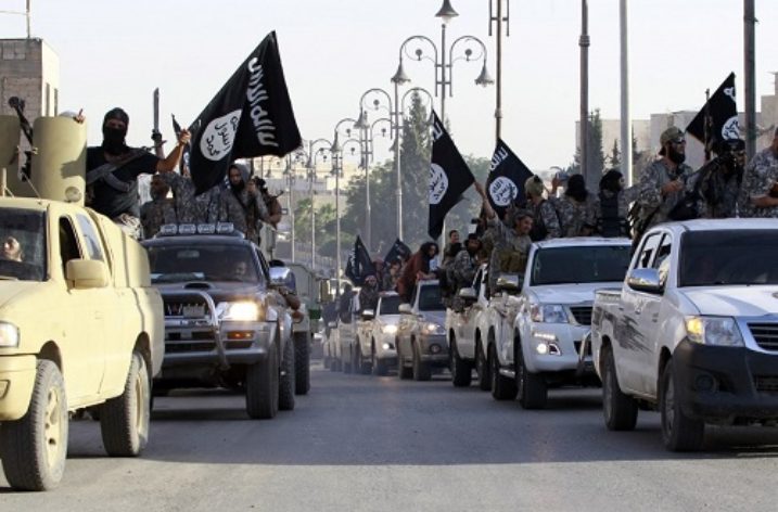 The Rise and Fall of ISIS: Regional Dynamics and Global Ambitions