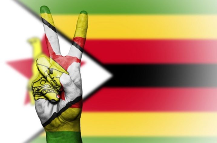 The Zimbabwe We Want Poetry Campaign
