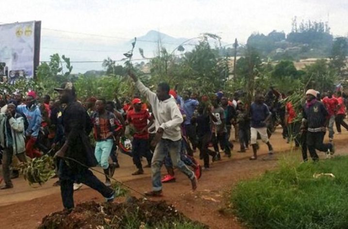 Cameroon: Anglophone regions gripped by deadly violence