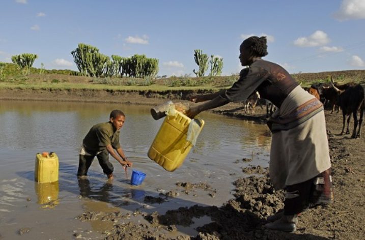 Protecting Ethiopia’s wetlands for balancing ecosystems