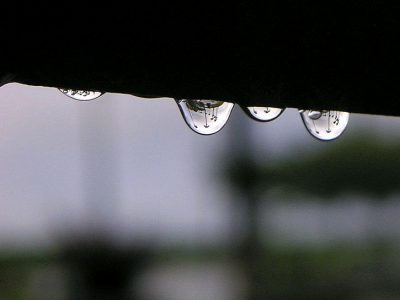 saome-rain-drops-in-the-morning_w725_h544