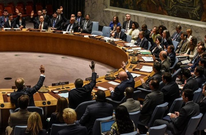 UN Security Council Reform: Pro et Contra
