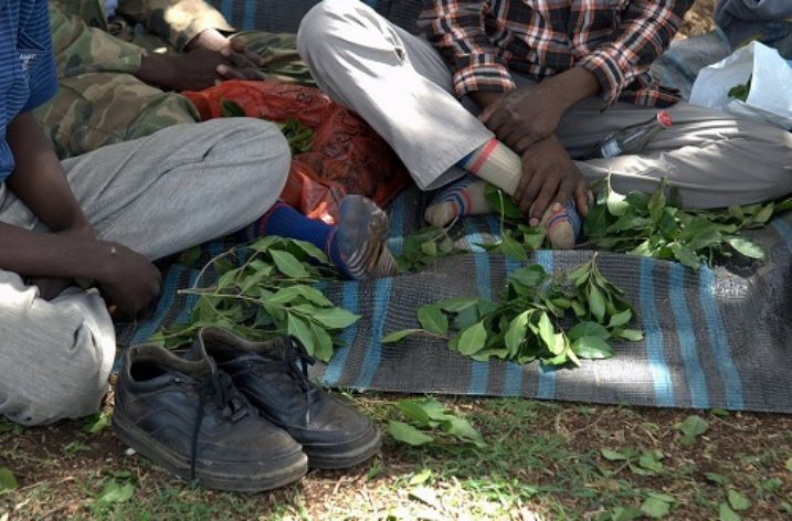 Ethiopia: Nipping the problem of addiction in the bud