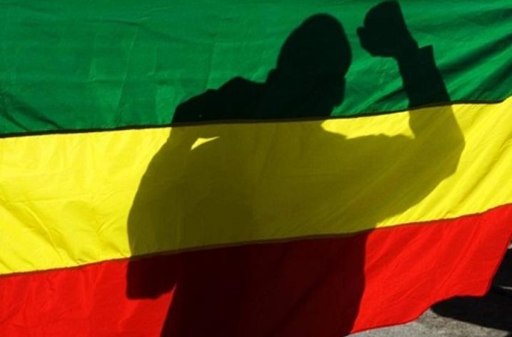 Ethiopia: Not a two-party system, but there will definitely be fewer parties as coalitions