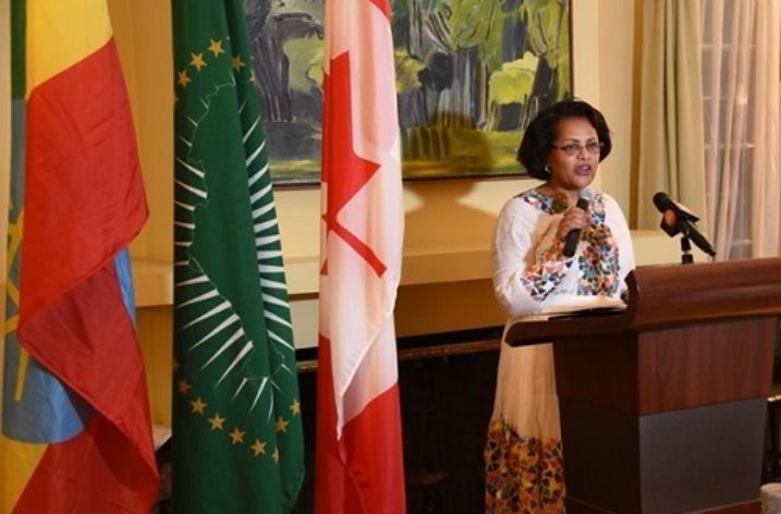 A woman with a double success story: Ambassador Birtukan Ayano