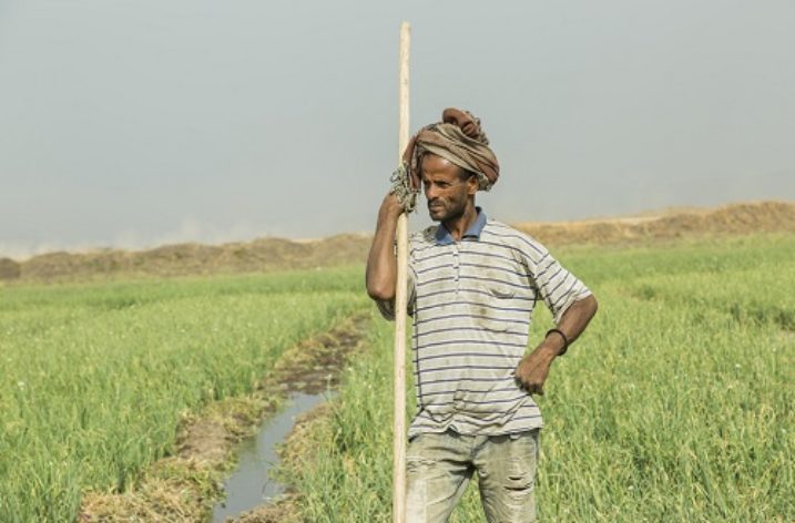 Ethiopia: Increasing productivity via irrigation