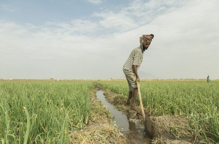 Raising awareness for economical usage of irrigation water